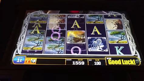 white lion slot machine.